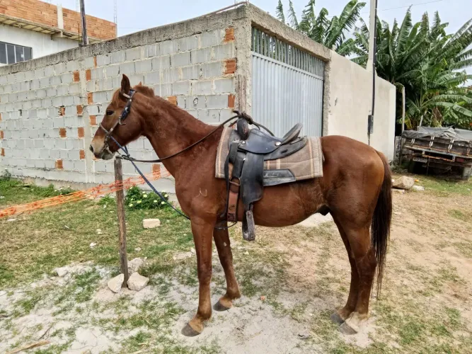 Vendo ou troco