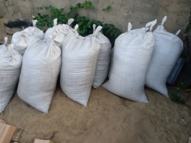 Esterco de gado/pra plantas,flores é demais 