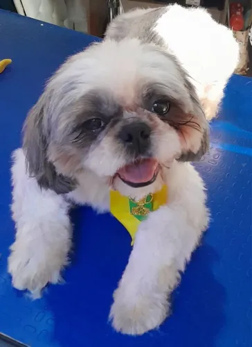 Tenho este lindo menino 