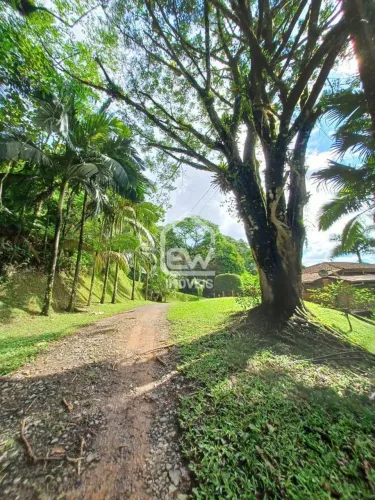 Chácara com Área Total de 32.389m² em Schroeder, SC