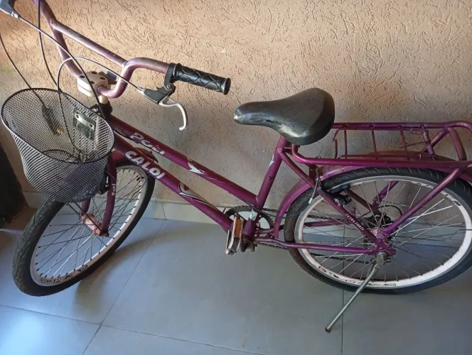 Bicicleta mini poti