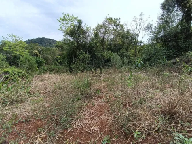 Área de terra bairro Linha Olinda, Nova Petrópolis. RS REF: 465