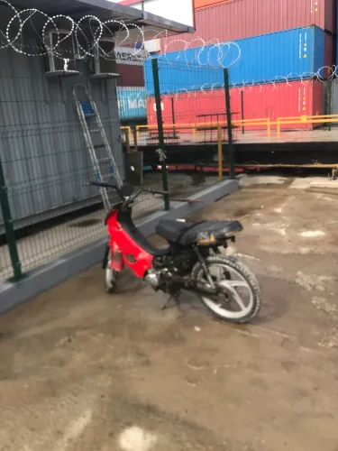 50tinha phoenix 