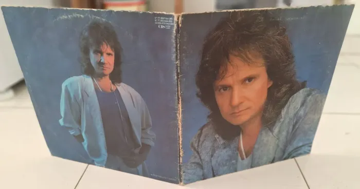 Disco de Vinil Lp Rei Roberto Carlos