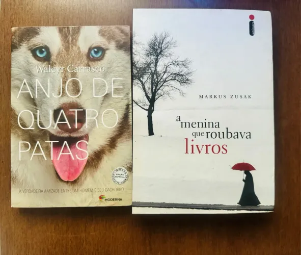 Vendo livro de literatura.