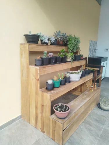 EXPOSITOR DE PLANTAS