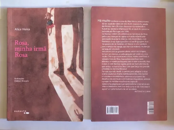 Livro - Rosa, minha irmã Rosa