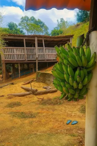 SITIOS Se você busca tranquilidade, vista permanente de montanha e uma região valorizando 