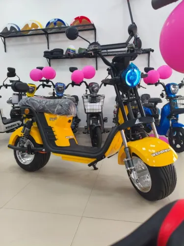 Scooter Bicicleta Eletrica Wx-11 Wehawk 1000w Bat 60v 20ah 2 Lugares