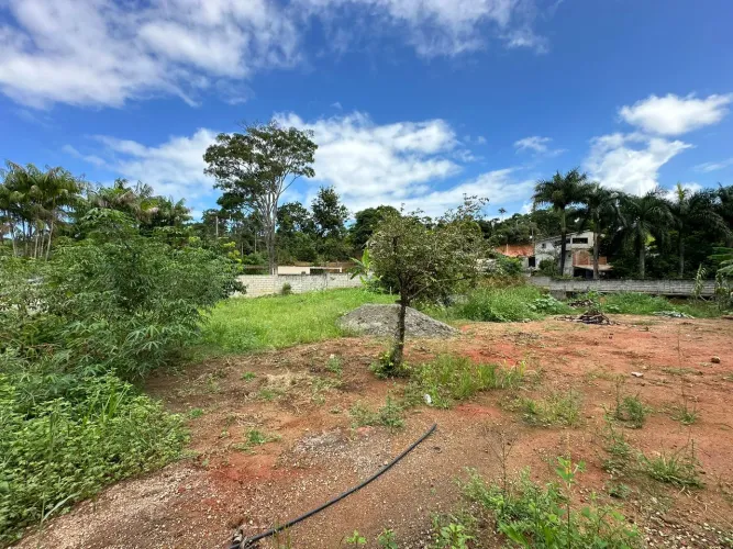Lote/Terreno para venda possui 2000 metros quadrados em Tartaruga - Guarapari - ES