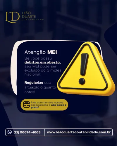 Regularização MEI