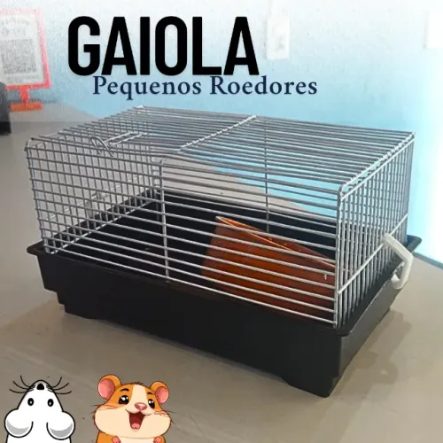 Gaiola Hamster Roborovski Chinês Topolino Minizinha _ PT04