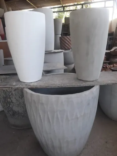 Vasos e plantas 
