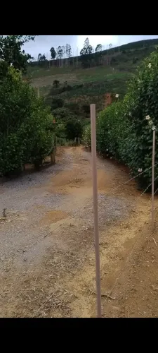 Chácara à venda em Manhuaçu-MG ( Direto com a proprietária)