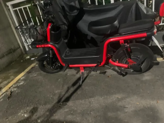 Moto elétrica bee 1.000w