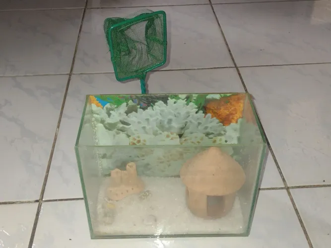 AQUÁRIO+OBJETOS DE DECORAÇÃO 
