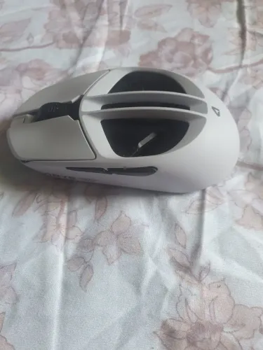 Mouse Arye RCC-1