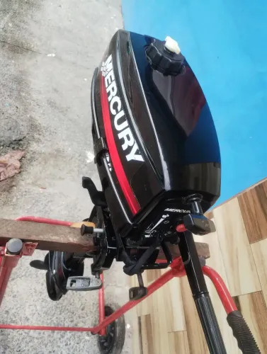 Motor Mercury 
