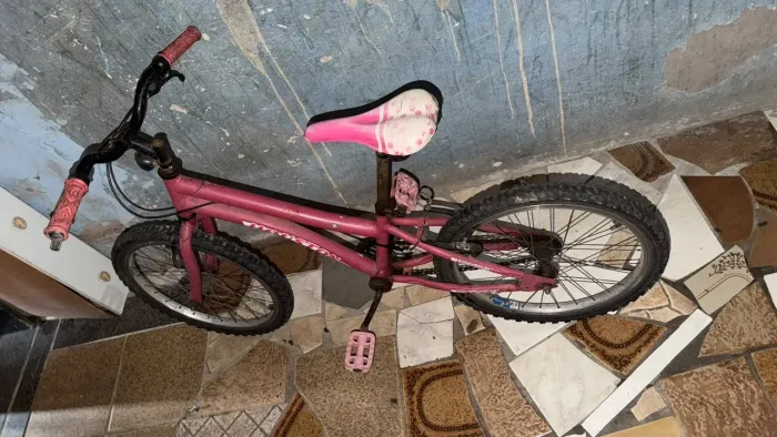 Bicicleta