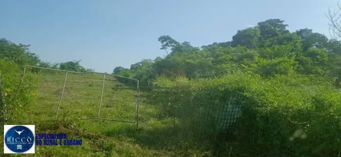 Fazenda à Venda em Formoso do Araguaia TO | 100 Alqueires | 60% Formada