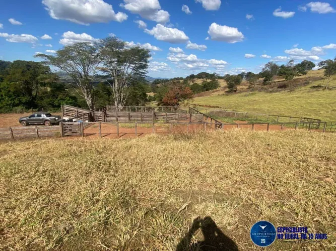 Chácara à Venda na Região de Itaguari GO | 14 Alqueires | Terra Preta