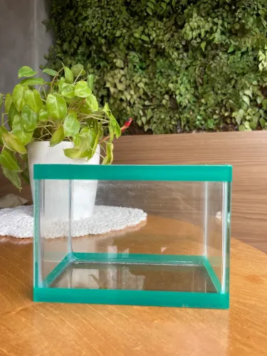 Aquário para peixe beta