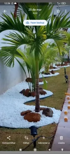 Faço montagens de jardins e pintura interna , fundações de casas na empreita e manual 