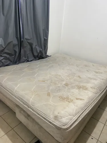 Cama