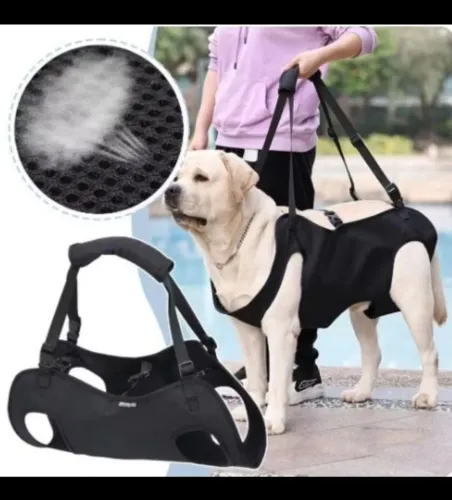 Suporte para locomoção de cães 