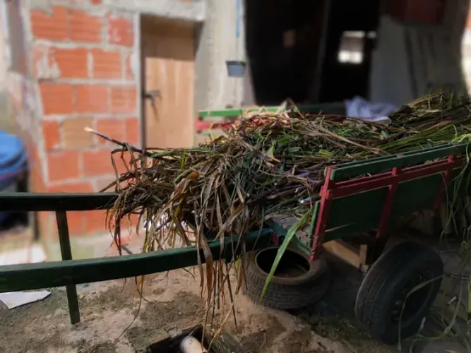VENDE-SE CARROÇA
