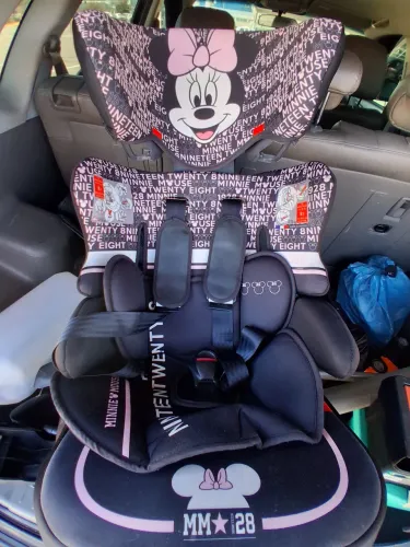  2    Caderinha da  disney.  450,00