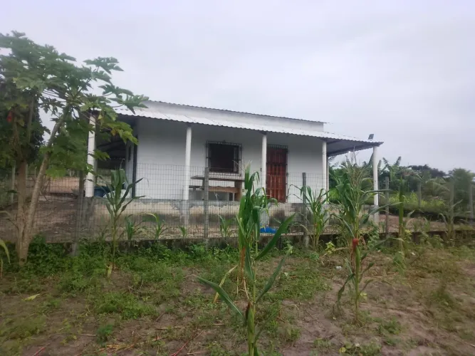 Vendo excelente sítio no município de Alagoinhas