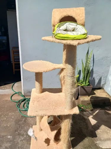 Arranhador de gatos
