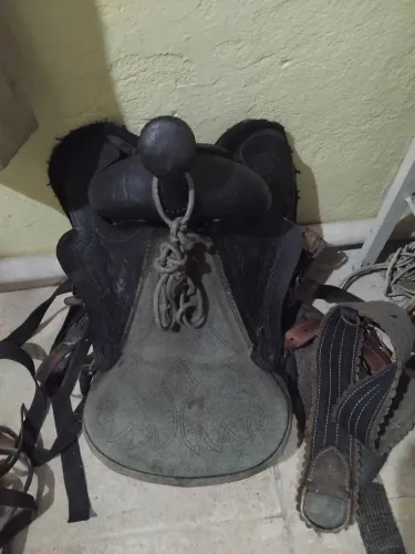 Vendo 2 cela pra animal ,em perfeitas condições aceito proposta !