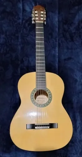Violão Michael VM21