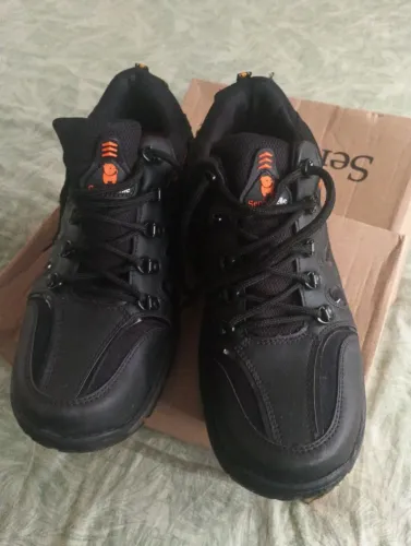 Bota