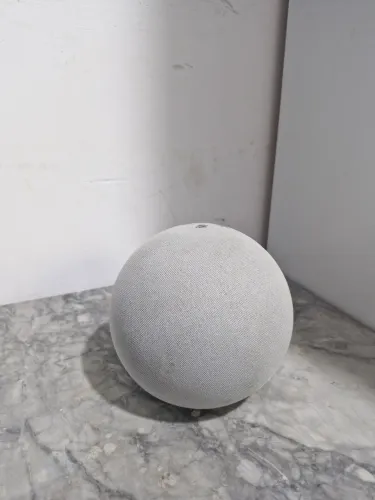 Echo dot Alexa