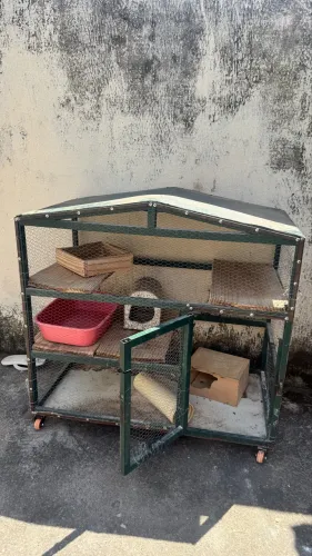 CASA para animal 