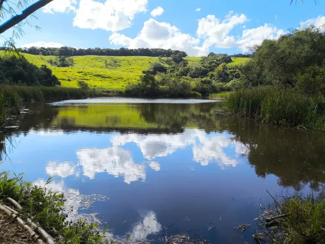 Vende-se sitio de 11 alqueires São sebastião do paraiso sul de minas
