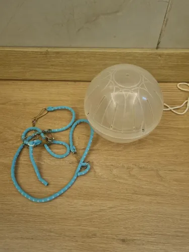 Acessórios Hamster