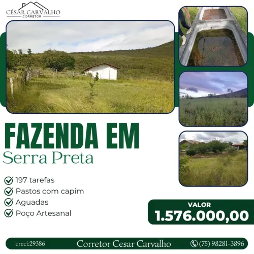 FAZENDA EM SERRA PRETA - 197 TAREFAS