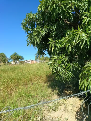 Vendo terreno de 1000 metros no bairro boa vista piedade sp a ?. metros do asfalto rua