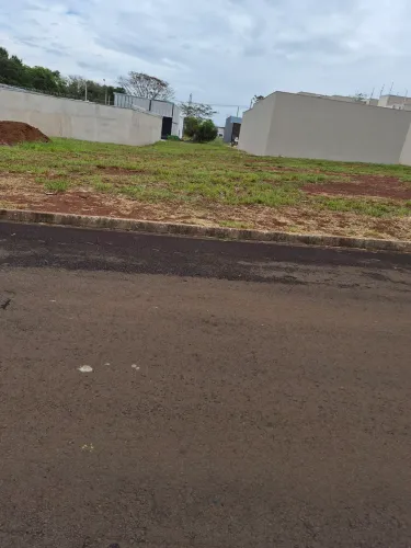 Terreno no jardim Amália