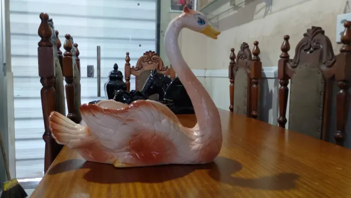 Cisne loucas