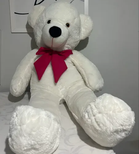 Urso de pelúcia ?