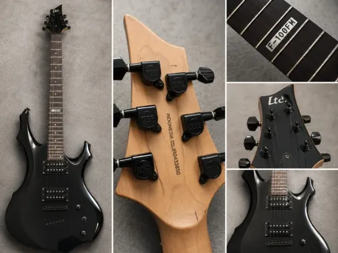 Guitarra ESP/LTD F 100 FM