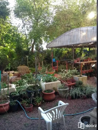 Predio para Venda - 291m², 3 dormitórios, sendo 2 suites, 1 vaga - Partenon