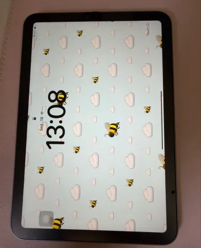 iPad mini 6 256gb 