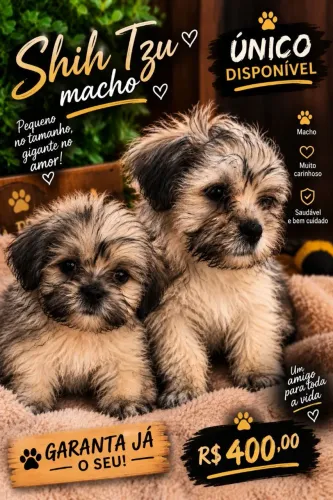 Cachorro 