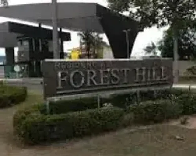 LOTE FORREST HILL COM 290 M2 ,10X 29 TODO PLANO PRONTO PRA CONSTRUIR